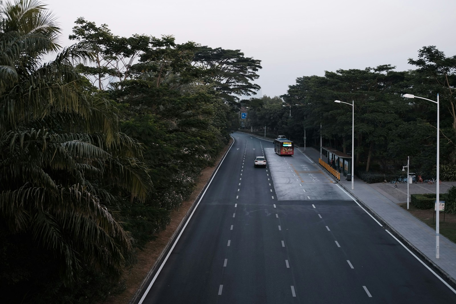 black car on road between green trees during daytime